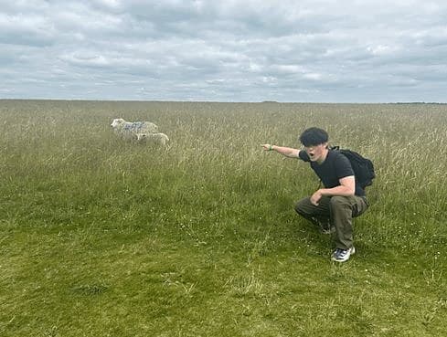 A runner crouching in a green field, pointing at a distant sheep