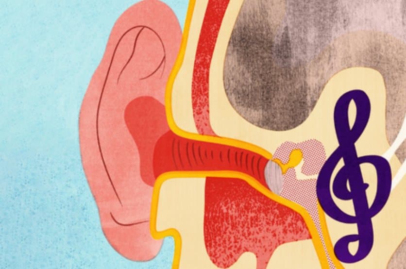 An illustrated cross-section of an ear with a treble clef inside it